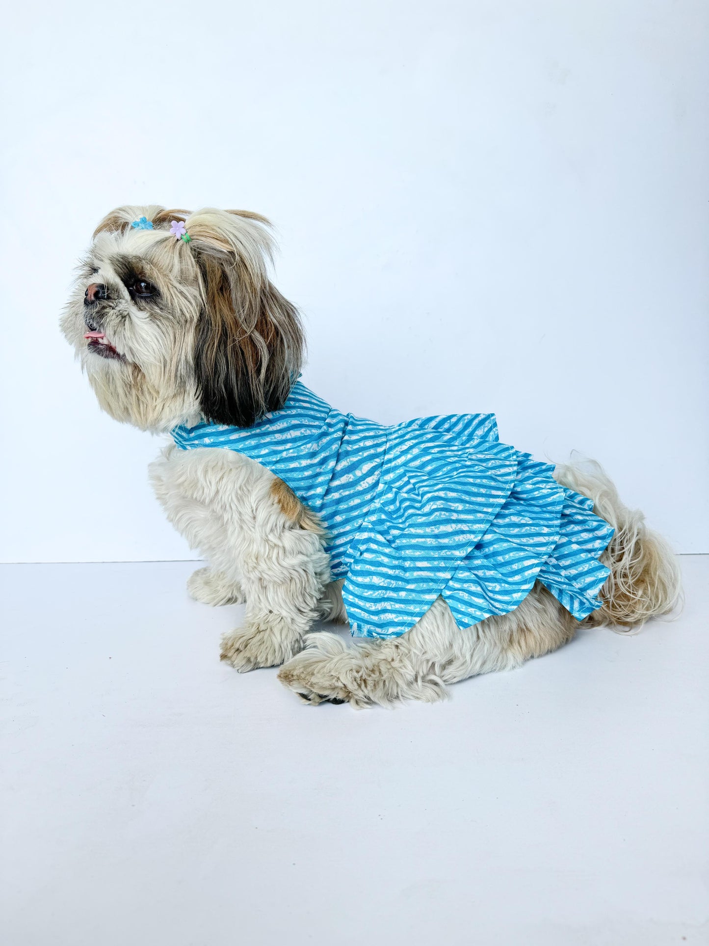 Blue Lehriya Dress | For Dogs | Pawgy Pets