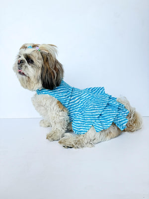 Blue Lehriya Dress | For Dogs | Pawgy Pets