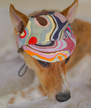 Pawgy Pets Dog Cap: Multi colour for Dog & Cats