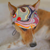 Multi Colour Cap | For Dogs | Pawgy Pets