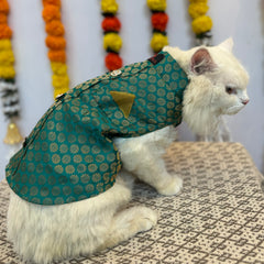 Pawgy Pets Sherwani Teal Blue for Cats