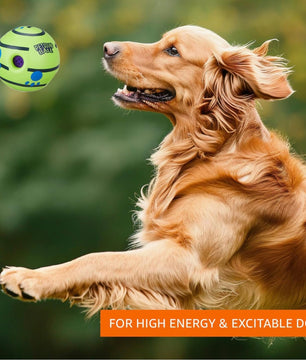 Pawgy Pets Sound Ball for Dogs