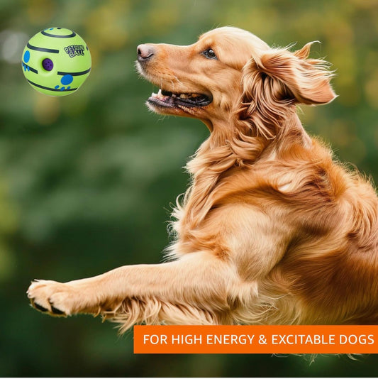 Pawgy Pets Sound Ball for Dogs