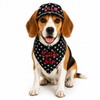 Black Star Denim Cap and Bandana Set | Personalised for Dogs | Pawgy Pets