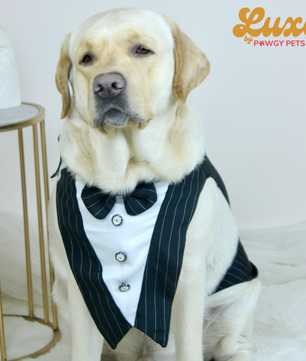 Luxe by Pawgy Pets Black Stripe  Bowtie Tuxedo