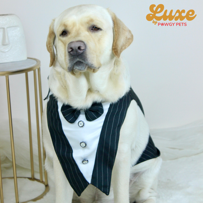 Black Stripe Bowtie Tuxedo | Luxe Collection | Pawgy Pets