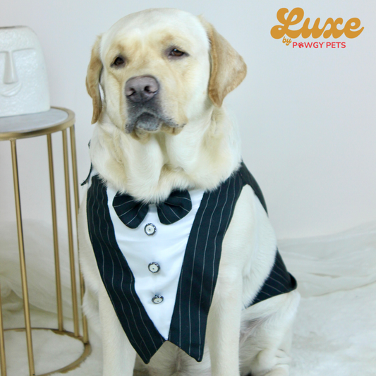 Luxe by Pawgy Pets Black Stripe  Bowtie Tuxedo