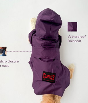 Raincoat: Purple