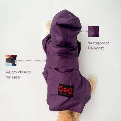 Purple Raincoat | For Dogs | Pawgy Pets