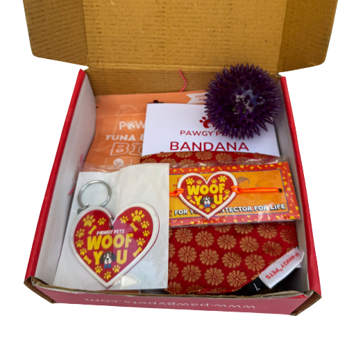 Pawgy Pets Raksha Bandhan Gift Hamper with Bandana