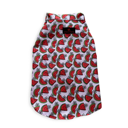 Daisy Melon Sando | Pink | For Dogs | Pawgy Pets