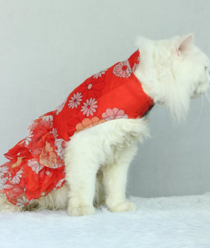 Pawgy Pets Frilly dress Red (Cat)