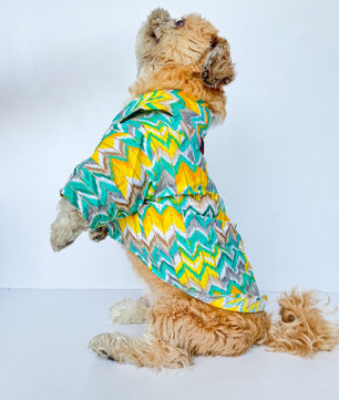 Pawgy Pets Zig-Zag kurta Green for Dogs