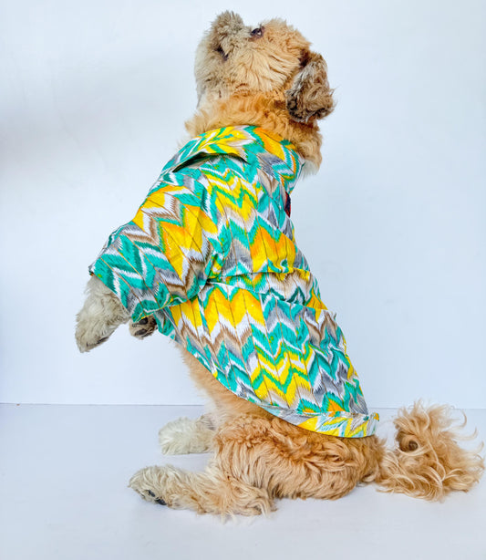 Pawgy Pets Zig-Zag kurta Green for Dogs