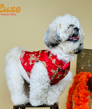 Luxe by Pawgy Pets Hand Embroidered Sherwani Red