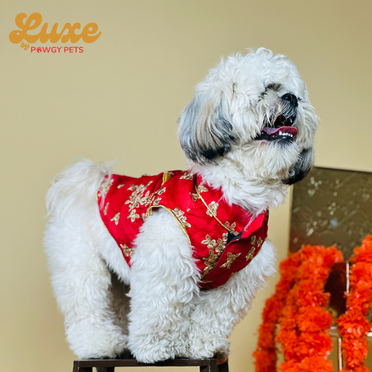 Luxe by Pawgy Pets Hand Embroidered Sherwani Red