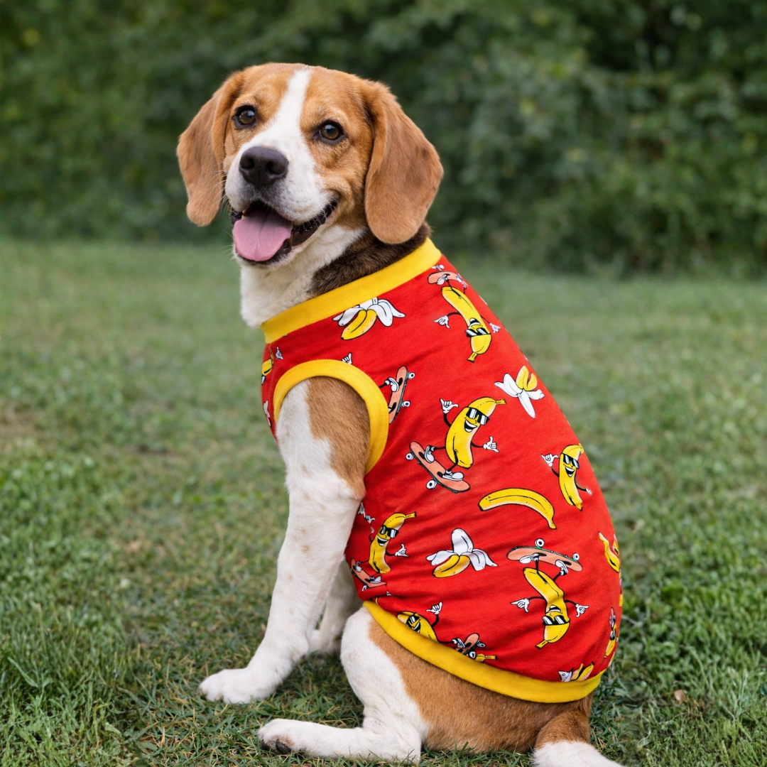 Banana T-shirt | Red | For Dogs | Pawgy Pets