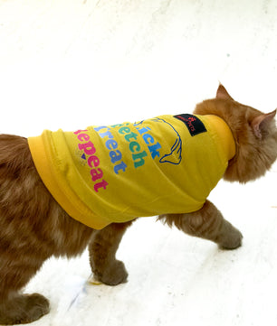 Pawgy Pets T-shirt for Cats