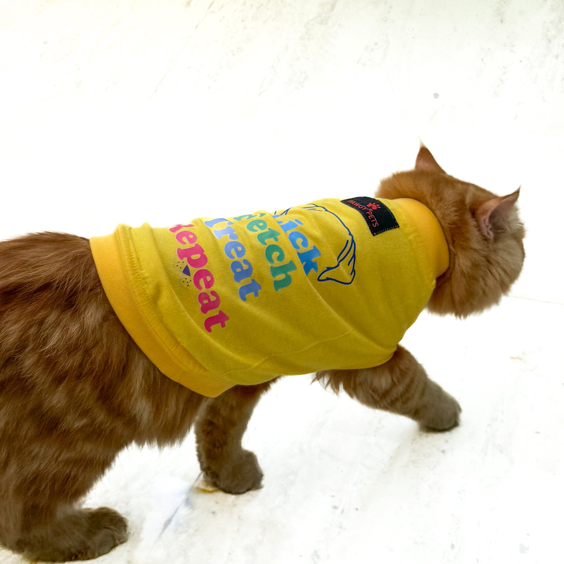 Pawgy Pets T-shirt for Cats