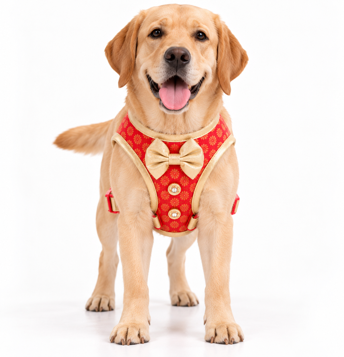 Pawgy Pets Celebration Harness & Leash for Dogs - Red and Gold