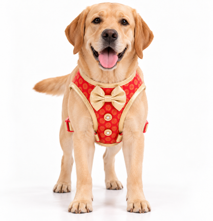 Pawgy Pets Celebration Harness & Leash for Dogs - Red and Gold