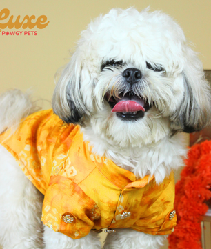 Luxe by Pawgy Pets Bandani kurta Yellow