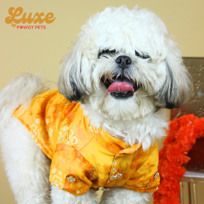 Yellow Bandani Kurta | Luxe Collection | Pawgy Pets