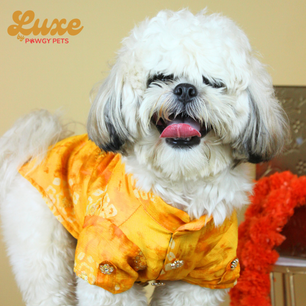 Luxe by Pawgy Pets Bandani kurta Yellow