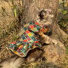 Multi Colour Silk Dress | For Cats | Pawgy Pets