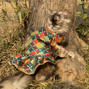 Multi Colour Silk Dress | For Cats | Pawgy Pets