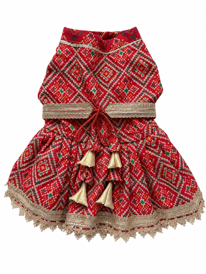 Red Patola Bridal Dress | Luxe Collection | Pawgy Pets