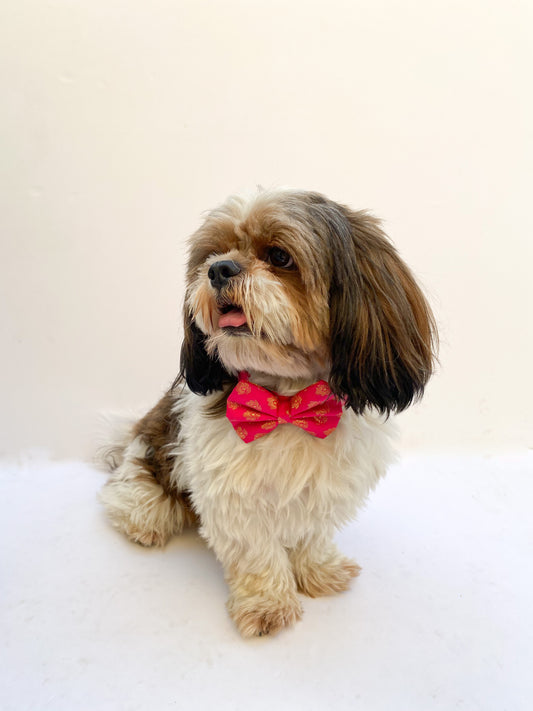 Pawgy Pets Occasion wear Bow Collar: Hot Pink for Dogs & Cats