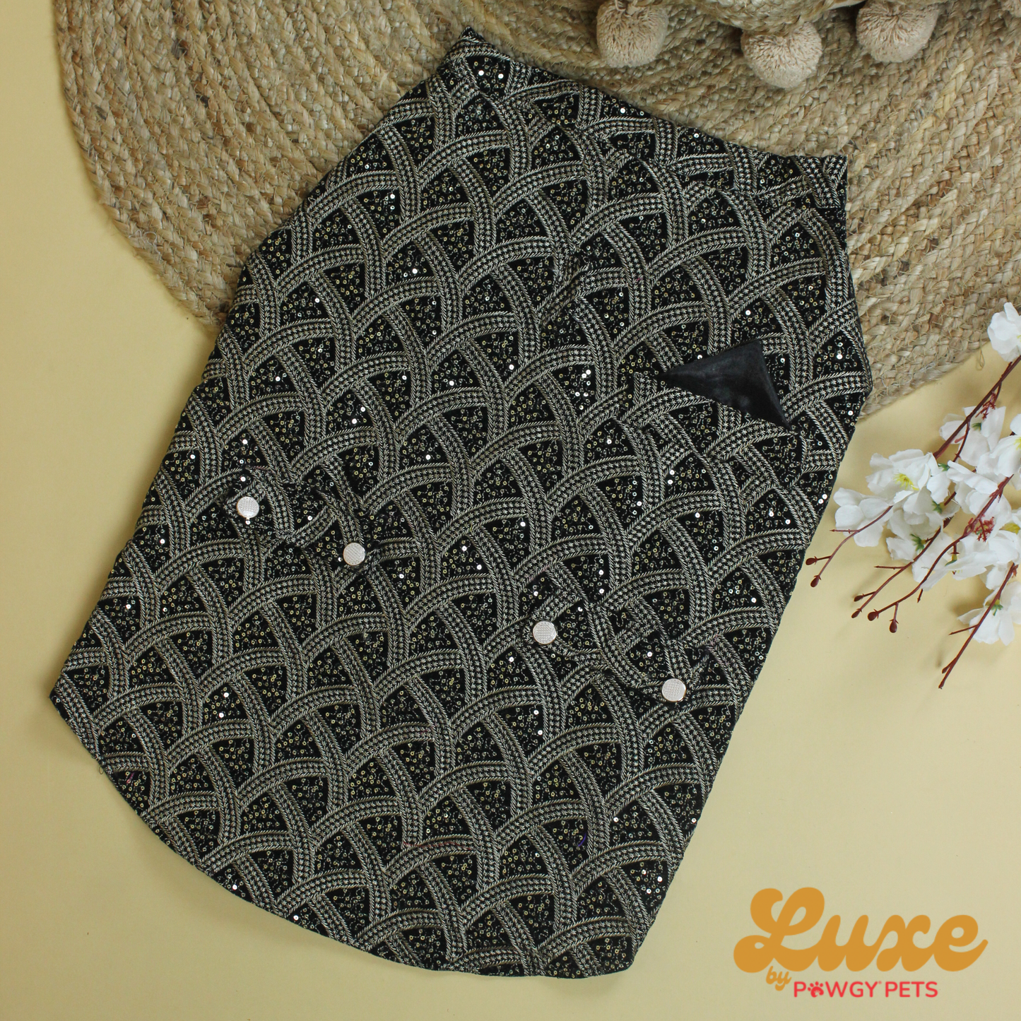 Black Embroidered Velvet Sherwani | Luxe Collection | Pawgy Pets