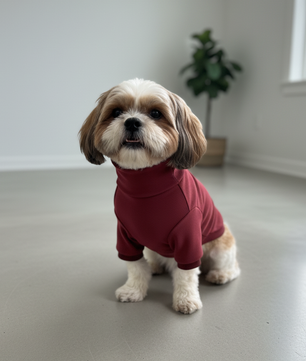 Pawgy Pets Super Soft Maroon High Neck