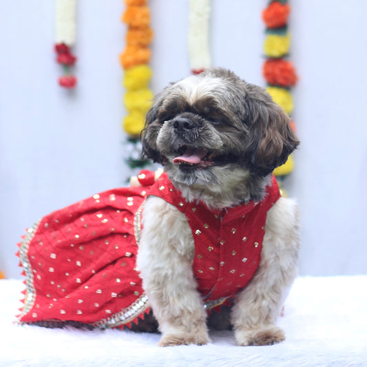 Pawgy Pets Shahi Lehenga- Dress Red for Dogs & Cats