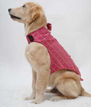 Pawgy Pets Desi Tuxedo: Pink for Dogs & Cats