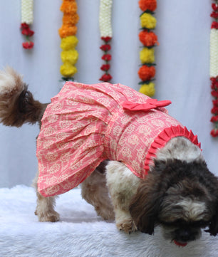 Pawgy Pets Block Print Dress Peach for Dogs