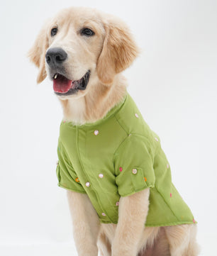 Pawgy Pets Festive Shirt Pista Green for Dogs