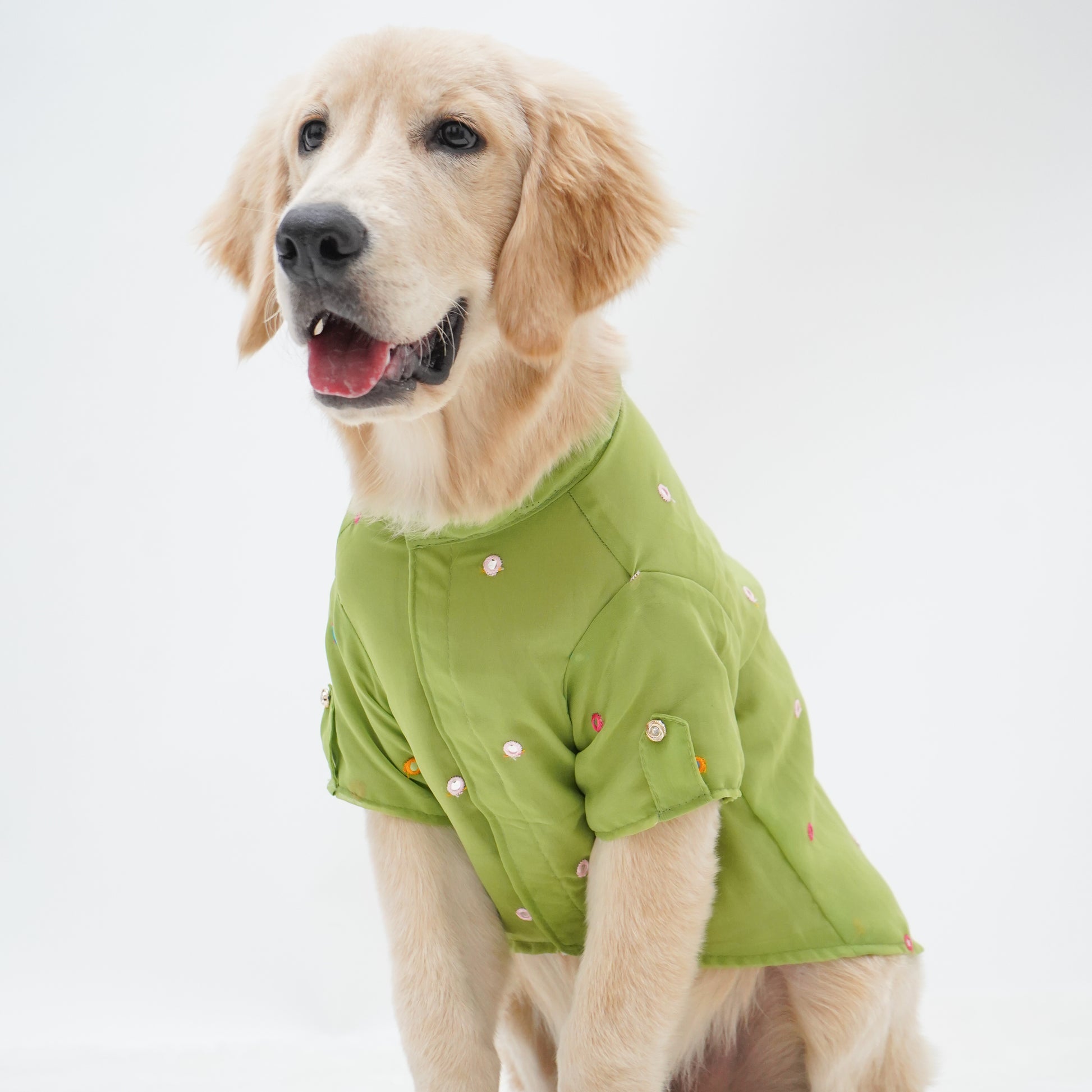 Pawgy Pets Festive Shirt Pista Green for Dogs - Main Image
