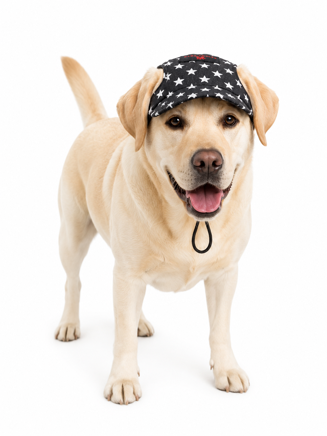 Black Star Denim Cap | For Dogs | Pawgy Pets