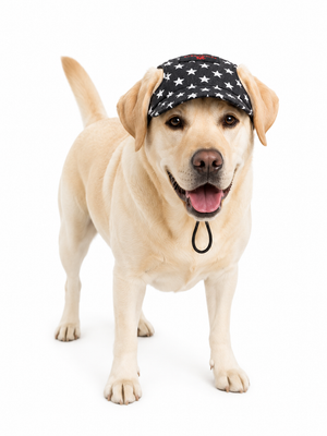 Black Star Denim Cap | For Dogs | Pawgy Pets