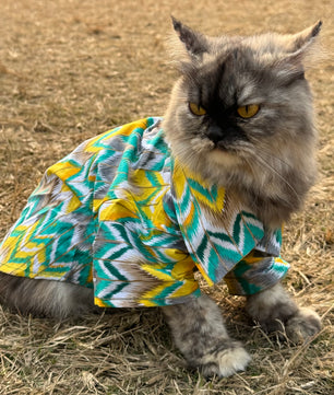 Pawgy Pets Green zig zag kurta for Cats