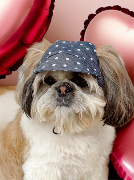Pawgy Pets Dog Cap:Floral Denim for Dog & Cats