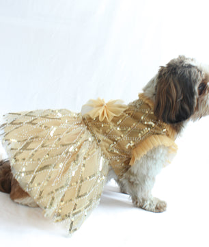 Pawgy Pets Tutu Dress Golden for Dogs and Cats