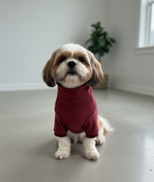 Pawgy Pets Super Soft Maroon High Neck