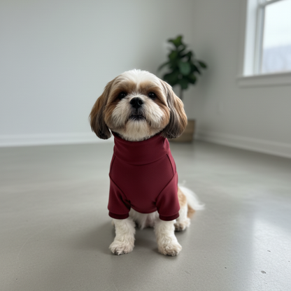 Maroon Super Soft High Neck Sweater | For Dogs & Cats | Pawgy Pets