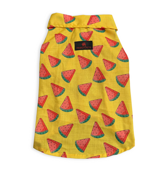 Pawgy Pets Watermelon sugar shirt Yellow for Dogs
