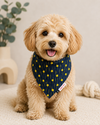 Denim Yellow Star Bandana | For Dogs | Pawgy Pets