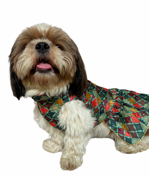 Pawgy Pets Silk Dress Multi for Dogs