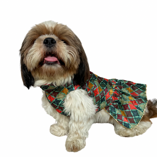 Pawgy Pets Silk Dress Multi for Dogs